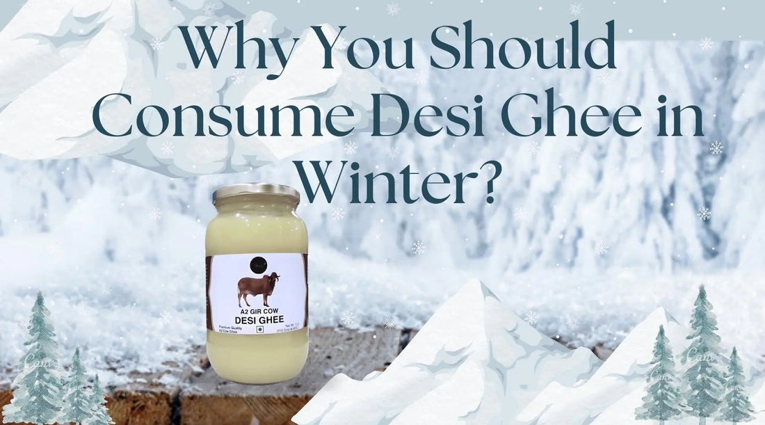 10-Reasons-Why-You-Should-Consume-Desi-Ghee-in-Winter-Shahji-Ghee Shahji Ghee