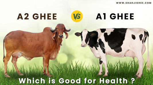 A1 Ghee Vs A2 Ghee: Which is Best for Health? Shahji Ghee