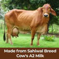 Shahji Pure & Desi A2 Cow Ghee (Sahiwal Cow) Shahji Ghee 