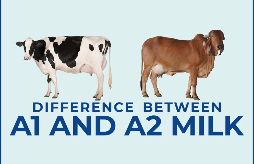 What-is-the-Difference-between-A1-and-A2-Milk