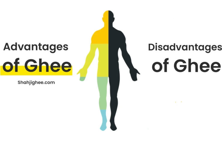 13_-Advantages-_-Disadvantages-Of-Ghee-You-Must-Know-Shahji-Ghee-1676115755_a58f4a00-bcb9-4d08-938d-40b6280adf86