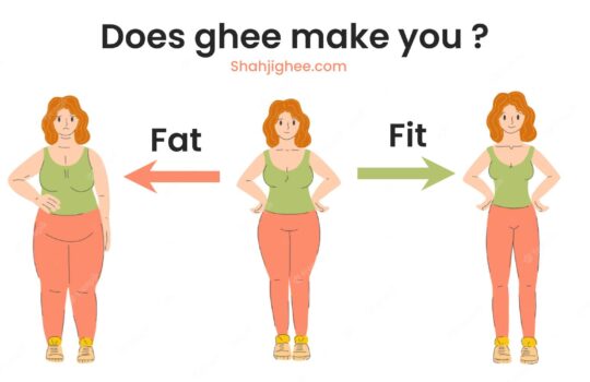 Does Ghee make you Fat or Fit? – Shahjighee