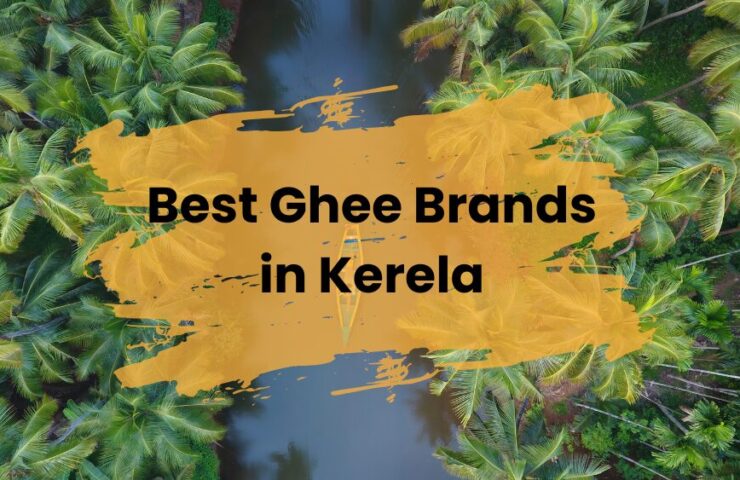 Best Ghee Brands in Kerela