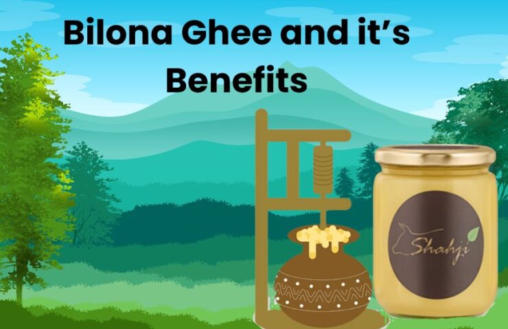 Bilona Ghee and it’s Benefits