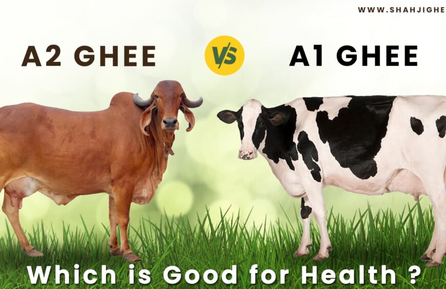 ShahjiGhee A1 Ghee Vs A2 Ghee: Which is Best for Health? Shahji Ghee News A1 Ghee Vs A2 Ghee