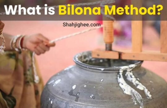 Bilona Method