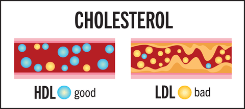 Cholesterol