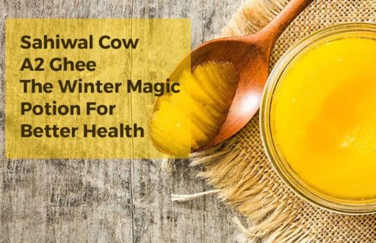 Sahiwal Cow Ghee