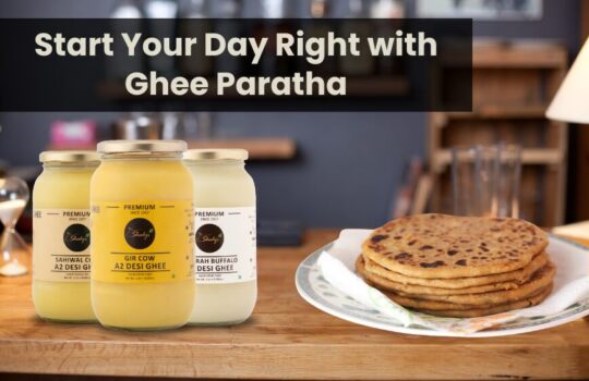 Ghee Paratha