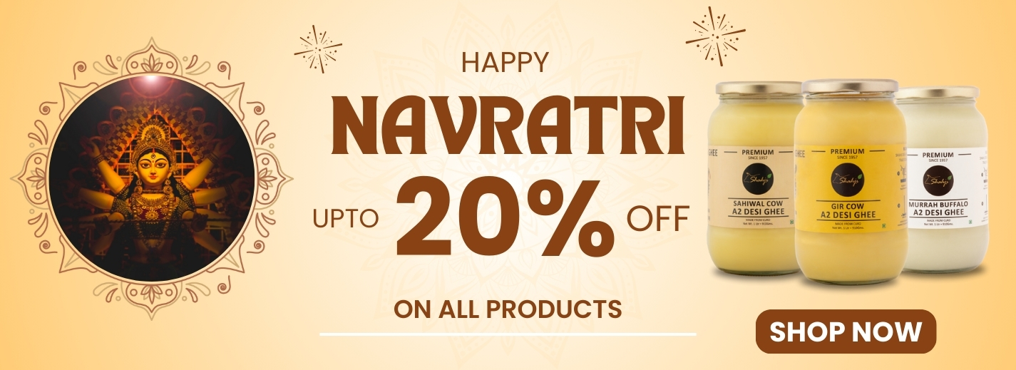 WEBSITE BANNER NAVRATRI (2)