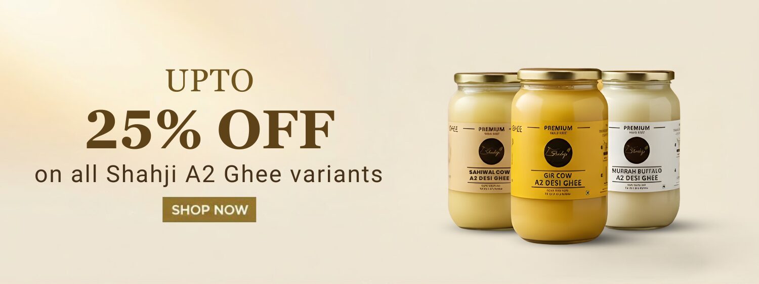 holi homepage banner (9)