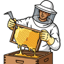 Sourced from trusted beekeepers